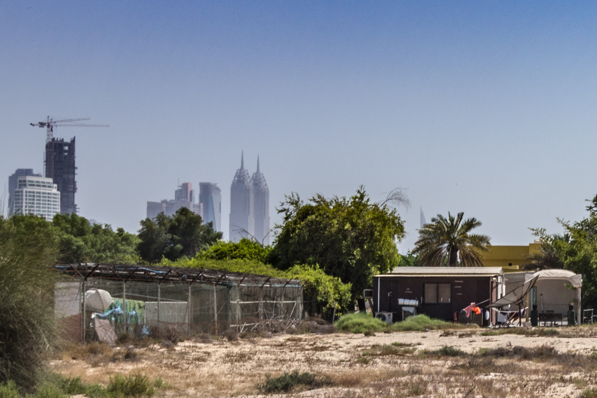 Urban farm, Dubao