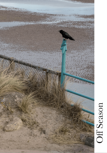 Screenshot 2019-04-20 at 15.12.43